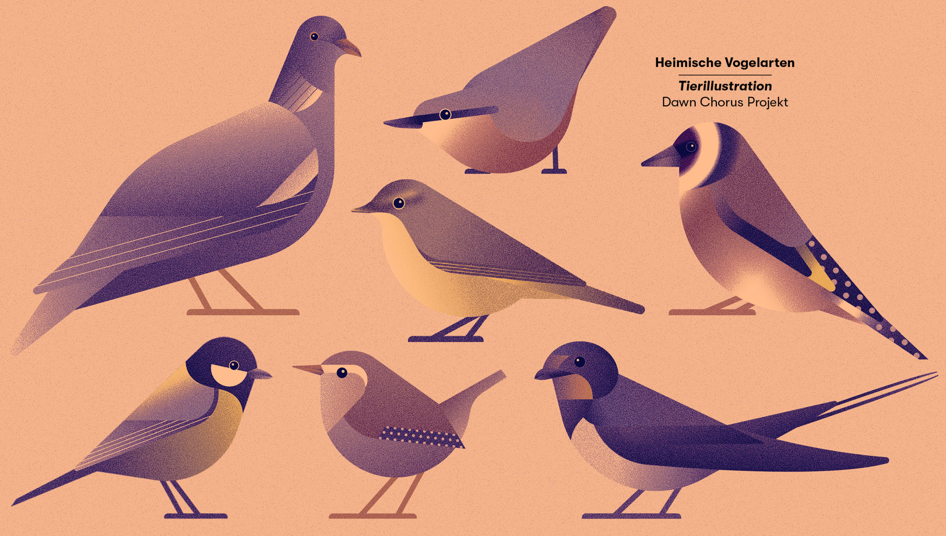 Dawn Chorus Vogelillustrationen