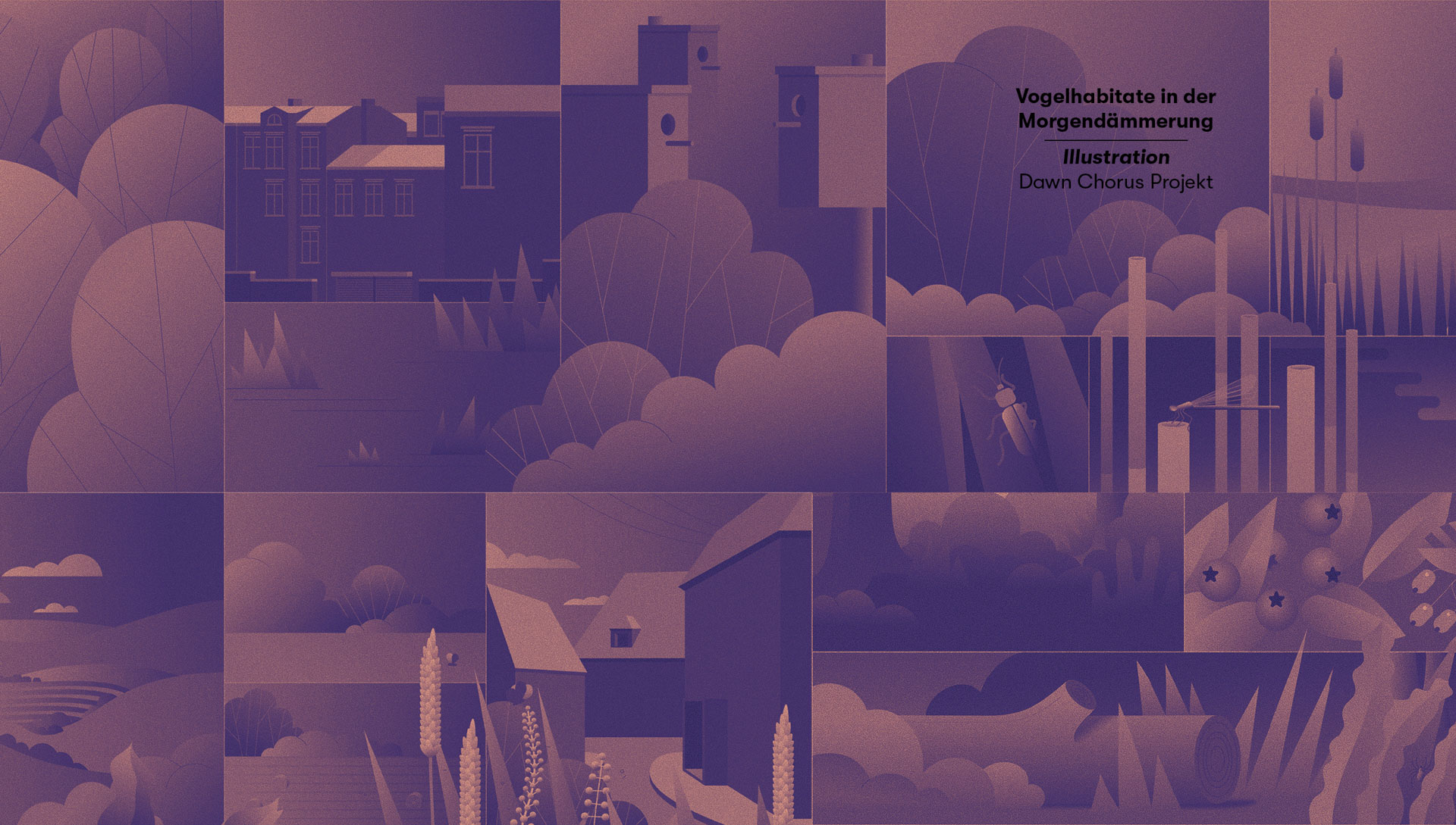 Dawn Chorus Habitate