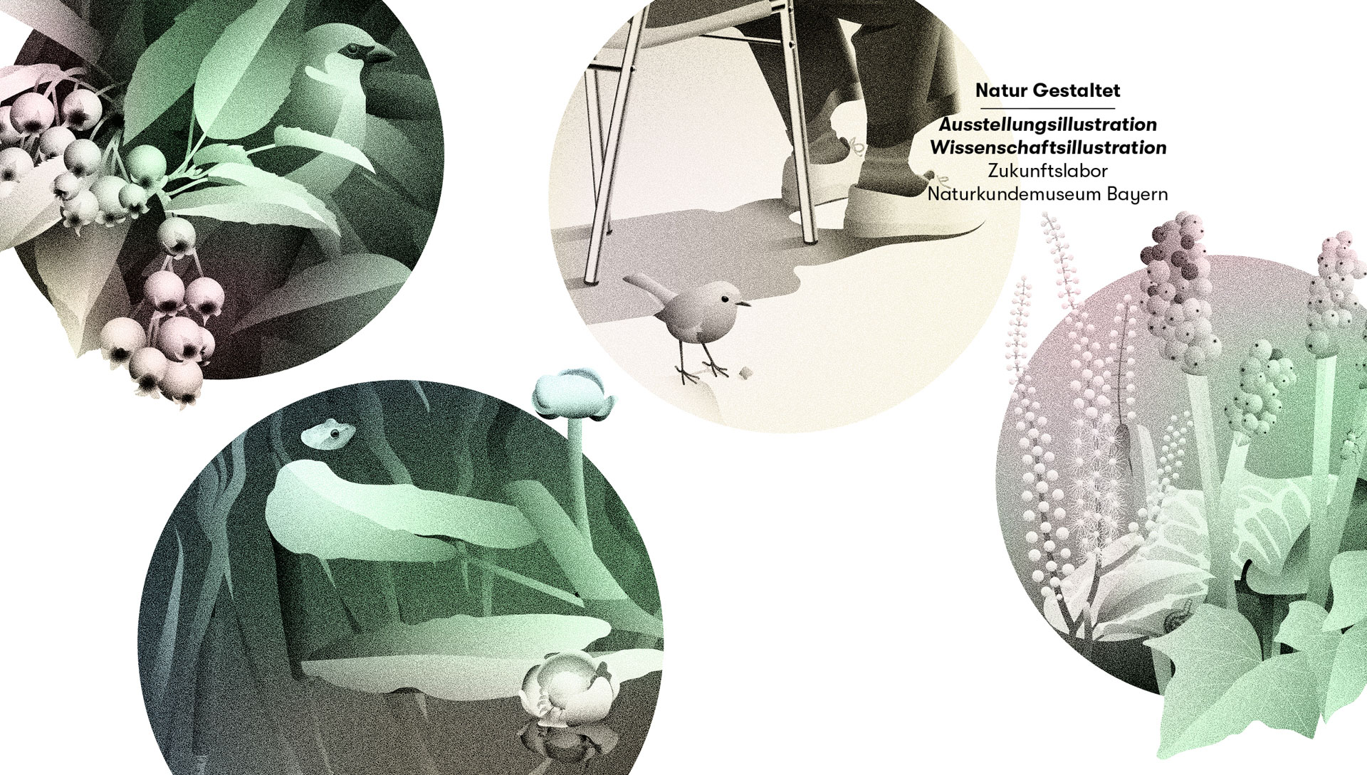 Naturkundemuseum Bayern Lebensräume Tierarten